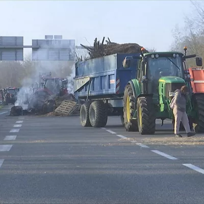 Iparraldeko laborarien protesta traktoreak A63 dermatosi nodularra
