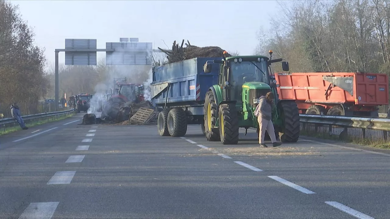 Iparraldeko laborarien protesta traktoreak A63 dermatosi nodularra