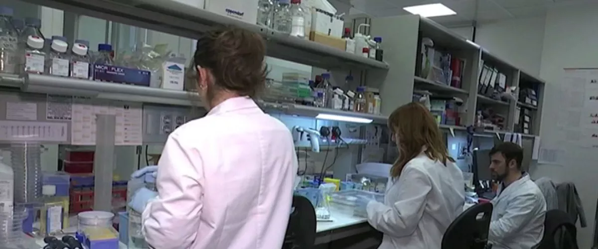 laboratorio-cancer-colon_