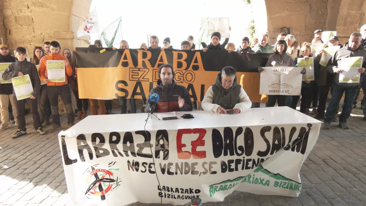 Concejo de Labraza y plataformas ecologistas exigen paralizar la central eólica de Labraza hasta la resolución del TSJPV