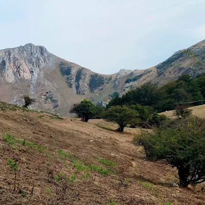 Lehortea Ausa Gaztelun, Zaldibia, Aralar mendilerroa