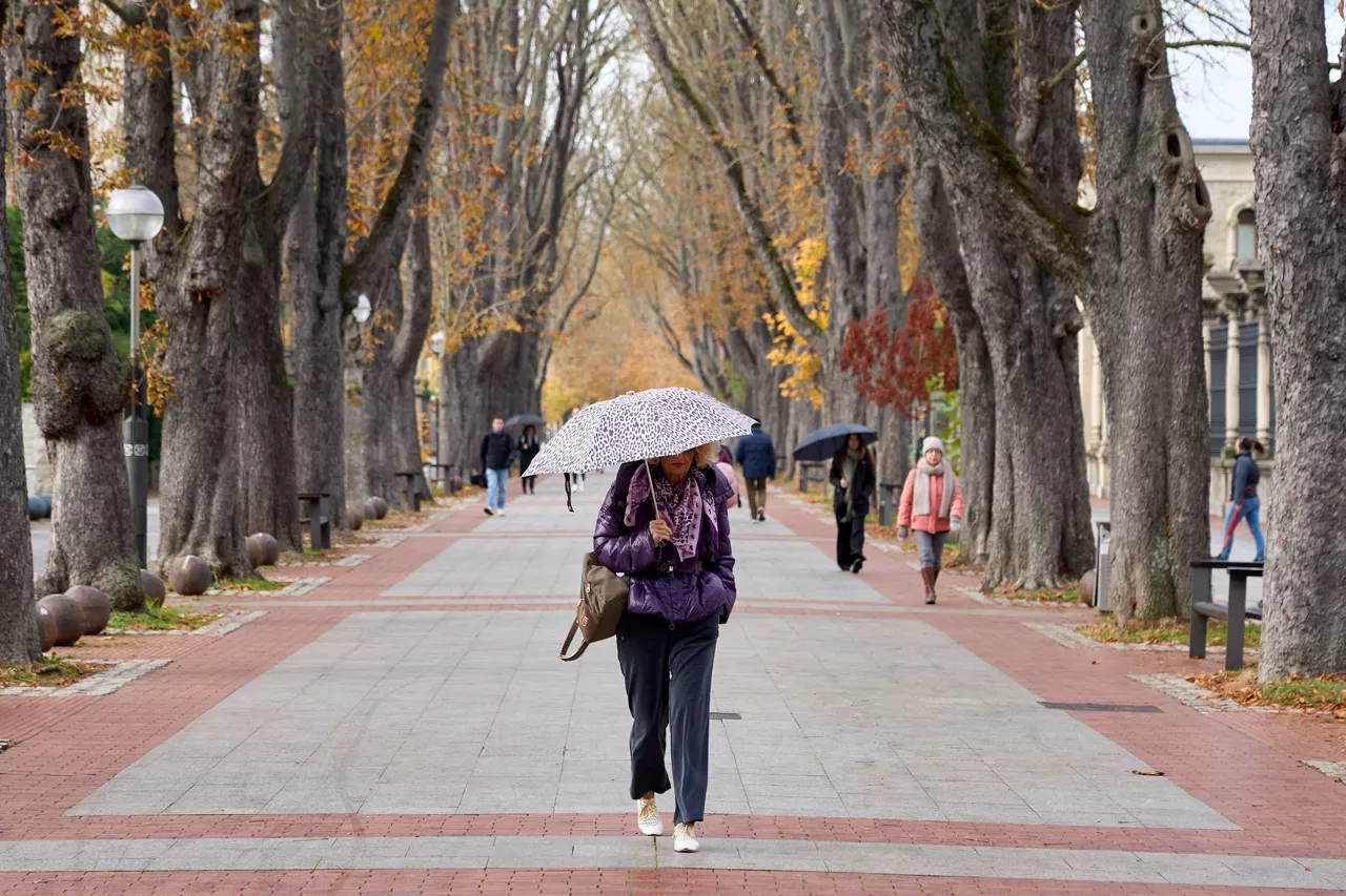 VITORIA, 19/11/2025.- Una mujer camina bajo un paraguas este miércoles en Vitoria, jornada en que los cielos estarán cubiertos en el País Vasco, con posibilidad de precipitaciones débiles a moderadas; los vientos soplarán con fuerza del noroeste; las temperaturas no experimentarán cambios, la cota de nieve descenderá hasta los mil metros y habrá posibilidad de heladas débiles en puntos de Álava. EFE/ L. Rico
