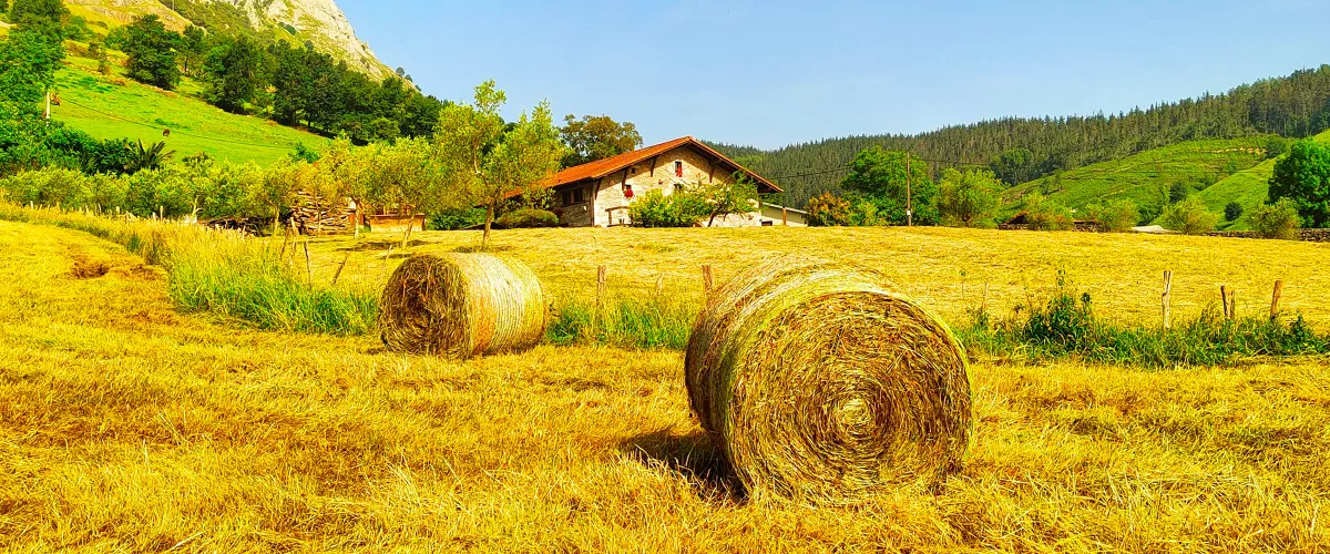 Eguzkia Mañaria