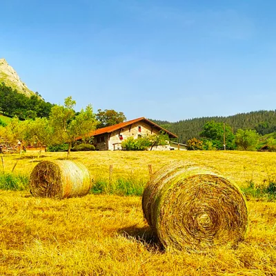Eguzkia Mañaria