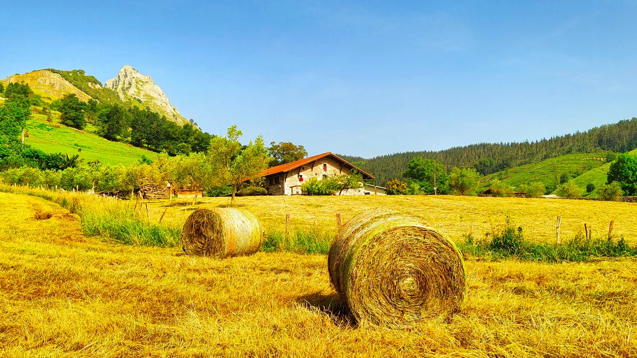 Eguzkia Mañaria