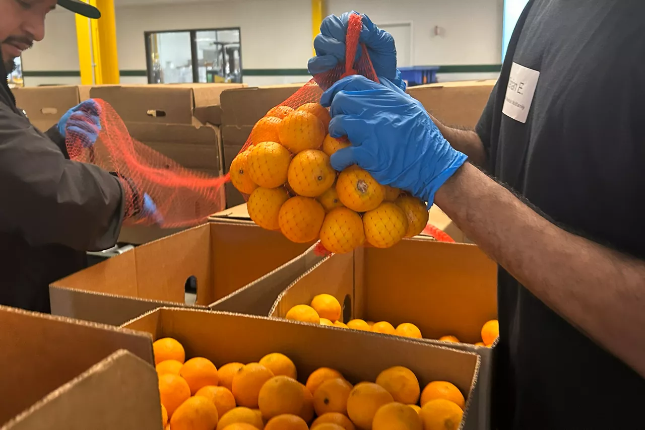 ACOMPAÑA CRÓNICA: EEUU INFLACIÓN AME163. LOS ÁNGELES (ESTADOS UNIDOS), 23/12/2025.- Personas organizan alimentos en las instalaciones del Banco de Comida Regional este lunes, en Los Ángeles (Estados Unidos). La estampa de la típica película navideña, con sus luces brillantes y mesas abundantes, choca con la realidad de miles de familias que se ven forzadas a recurrir a los bancos de alimentos por Navidad para soportar la asfixiante inflación que azota en EE.UU. y que afecta con especial virulencia a la comunidad latina. EFE/ Mikaela Viqueira
