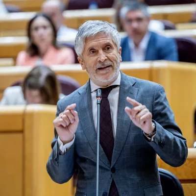 fernando grande marlaska