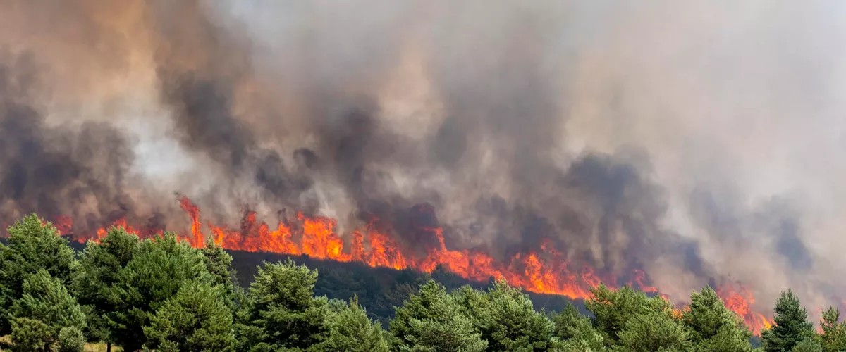 La Mierla (Guadalajara), 20/07/2026.- El incendio de La Mierla, en Guadalajara, se encuentra "fuera de su capacidad de extinción" y está lejos de ser controlado, mientras suma ya 32 pueblos evacuados con unas 1.200 personas afectadas y el dispositivo está centrado en proteger a las poblaciones. EFE/Nacho Izquierdo
