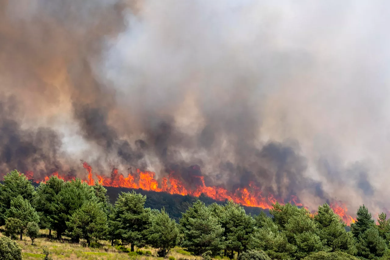 La Mierla (Guadalajara), 20/07/2026.- El incendio de La Mierla, en Guadalajara, se encuentra "fuera de su capacidad de extinción" y está lejos de ser controlado, mientras suma ya 32 pueblos evacuados con unas 1.200 personas afectadas y el dispositivo está centrado en proteger a las poblaciones. EFE/Nacho Izquierdo
