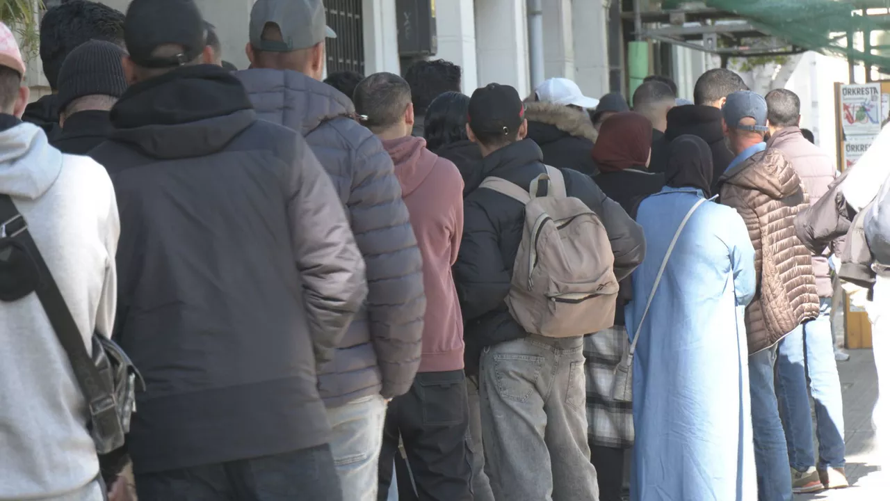 migratzaileen erregulazioa