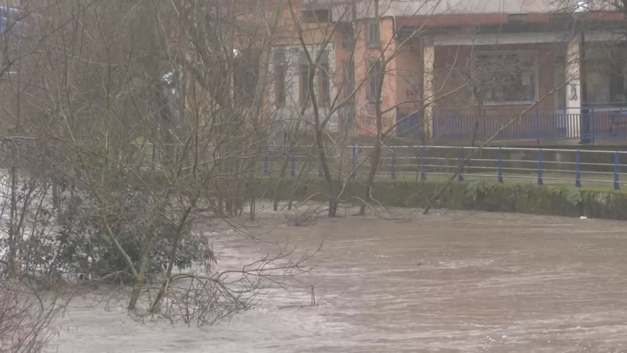 mungia butroe uholdeak