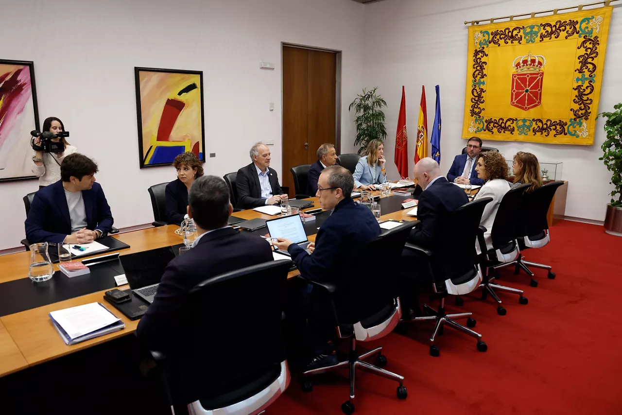 nafarroa bozeramaileen batzordea parlamentua