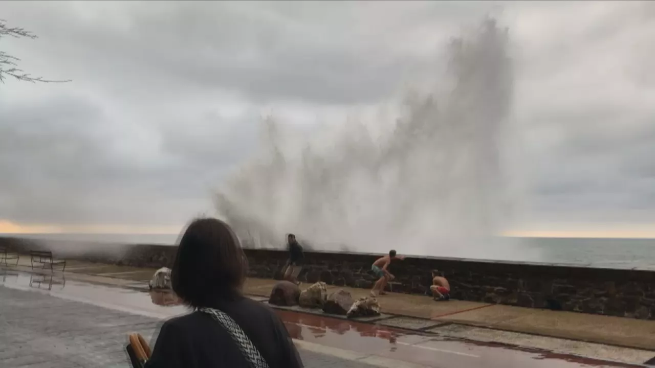 Olas Paseo Nuevo