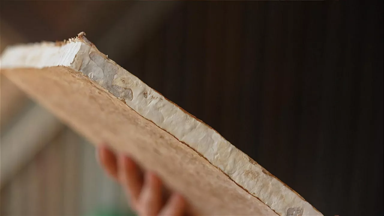 onddoz egindako materiala 2