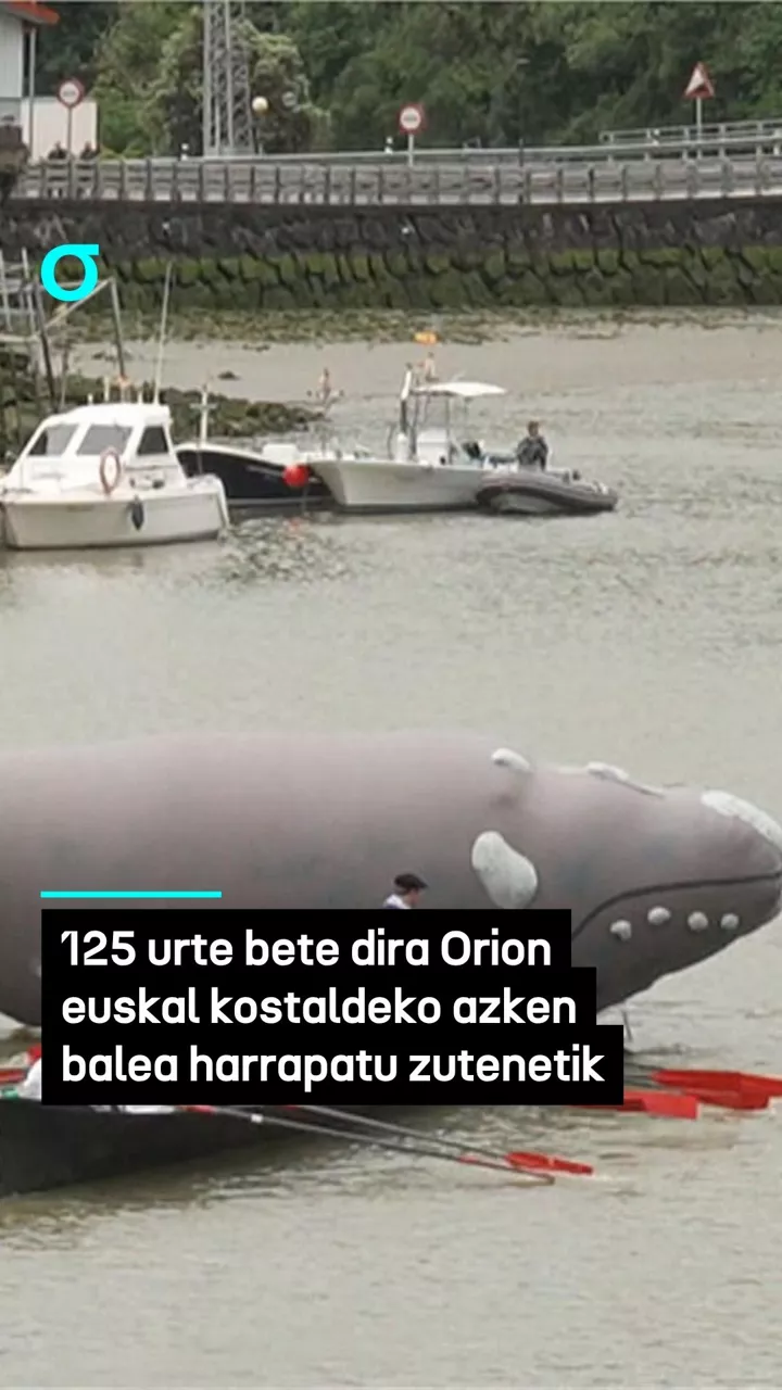 125 urte bete dira Orion euskal kostaldeko azken balea harrapatu zutenetik