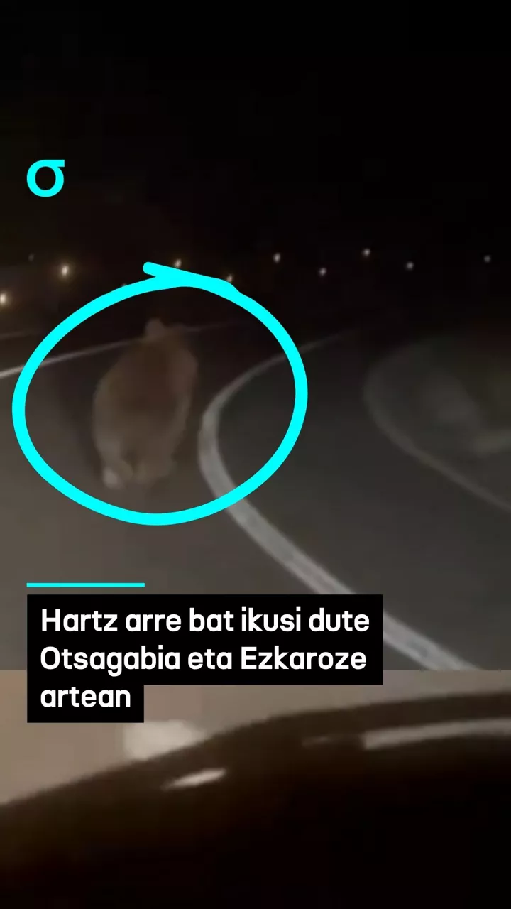 Hartz arre bat ikusi dute Otsagabia eta Ezkaroze artean