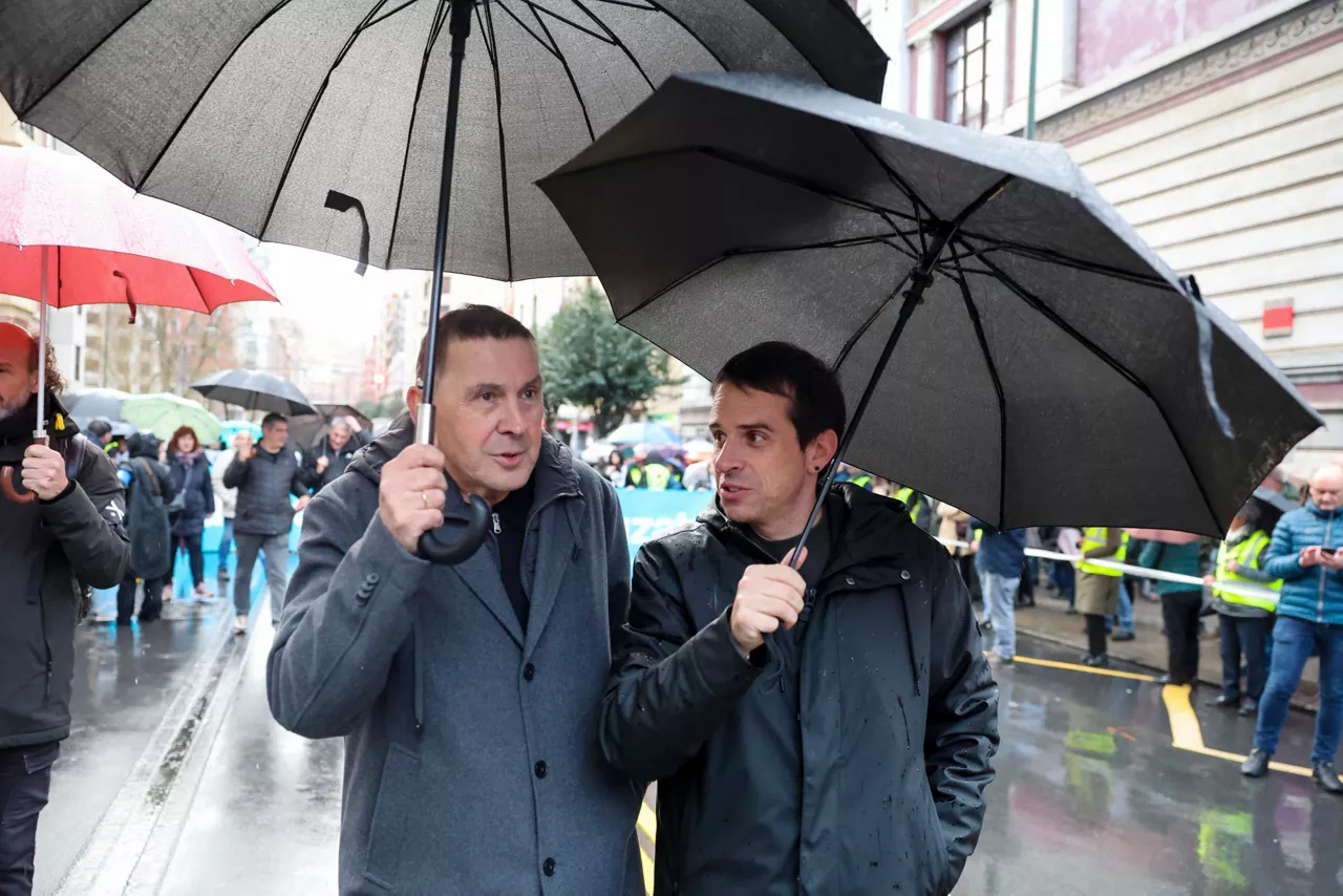 Otegi Otxandiano EH Bildu Sare manifestazioa