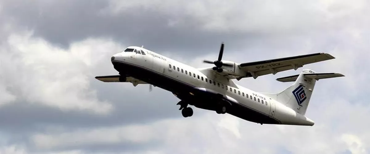 HEGAZKIN BAT DESAGERTU DA PAPUAN EFE