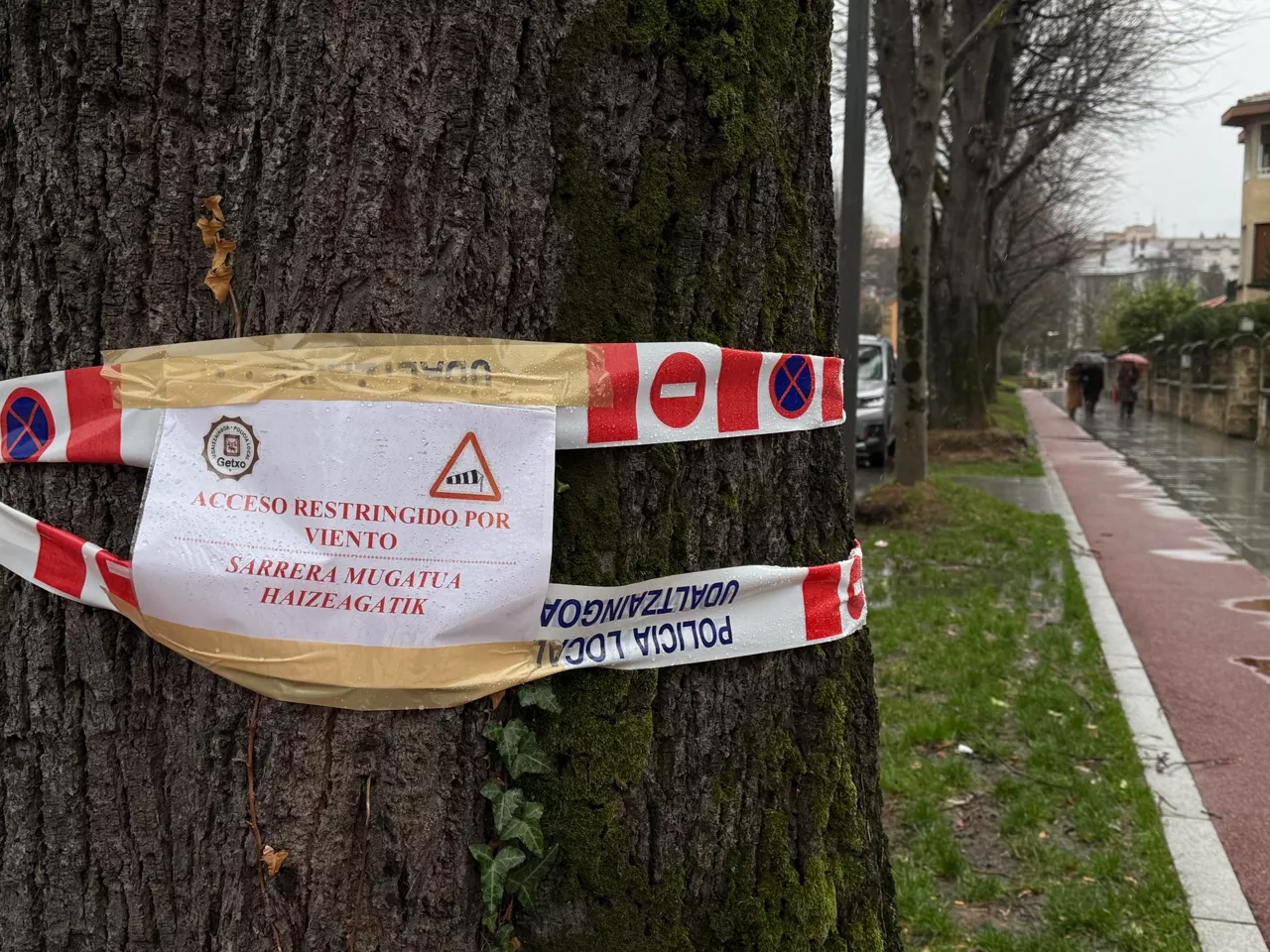 La Policía Municipal de Getxo ha cerrado el paso a peatones en las principales calles con arbolado. Foto: EFE