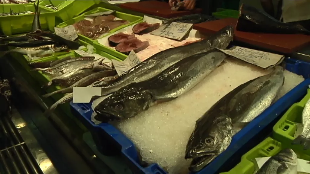 MAM-eko argazkia: pescado-arraina-pesca_