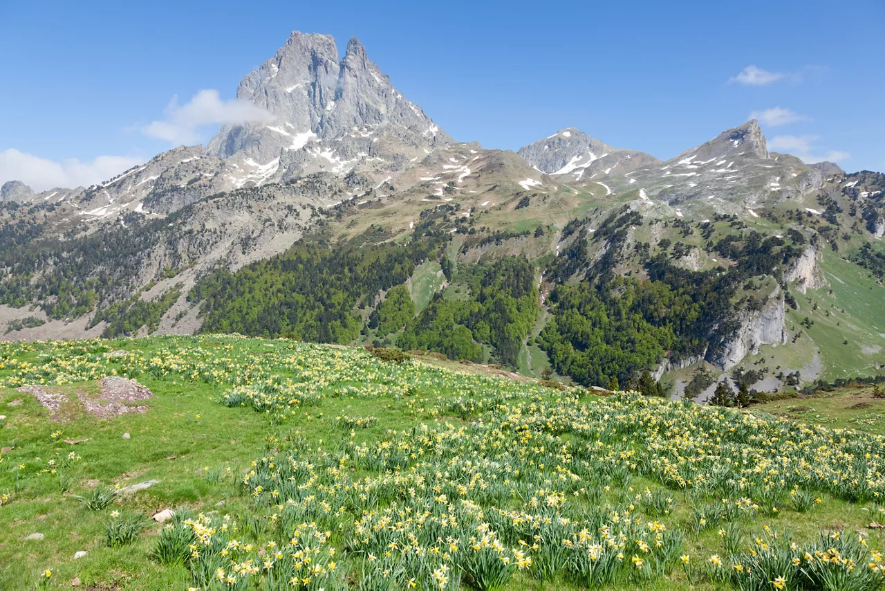 Foto de PHILIPPE SERRAND de Pexels: https://www.pexels.com/es-es/foto/paisaje-montanas-naturaleza-flores-18100809/