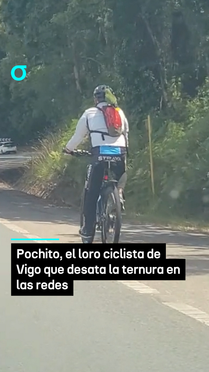 video feed poster