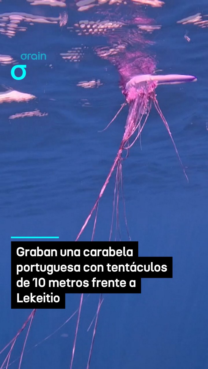 video feed poster