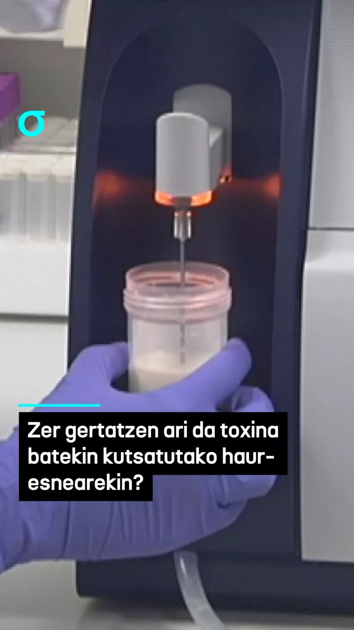 Zer gertatzen ari da toxina batekin kutsatutako haur-esnearekin?