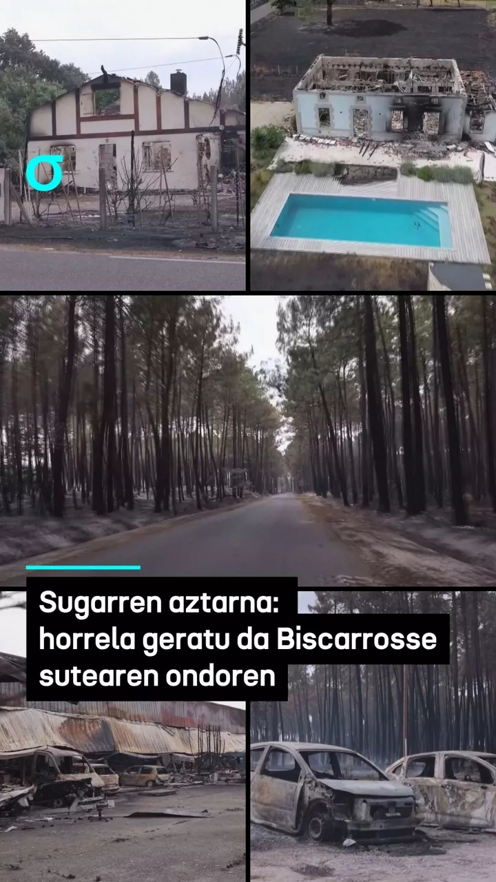 video feed poster