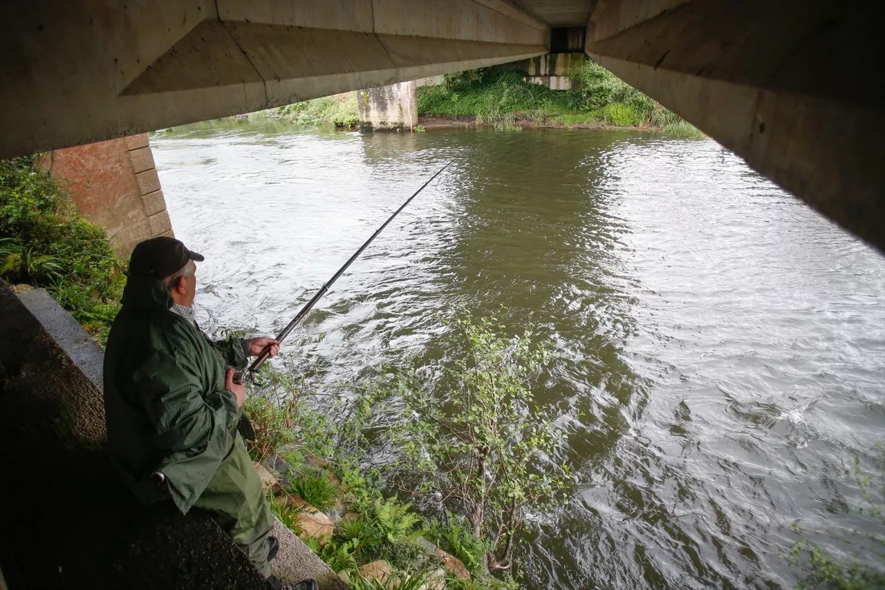 salmón pesca