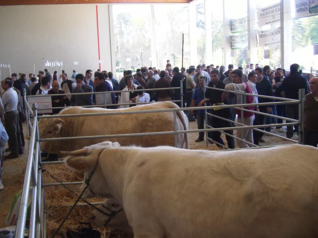 Subasta de ganado en la Escuela Agraria de Arkaute.