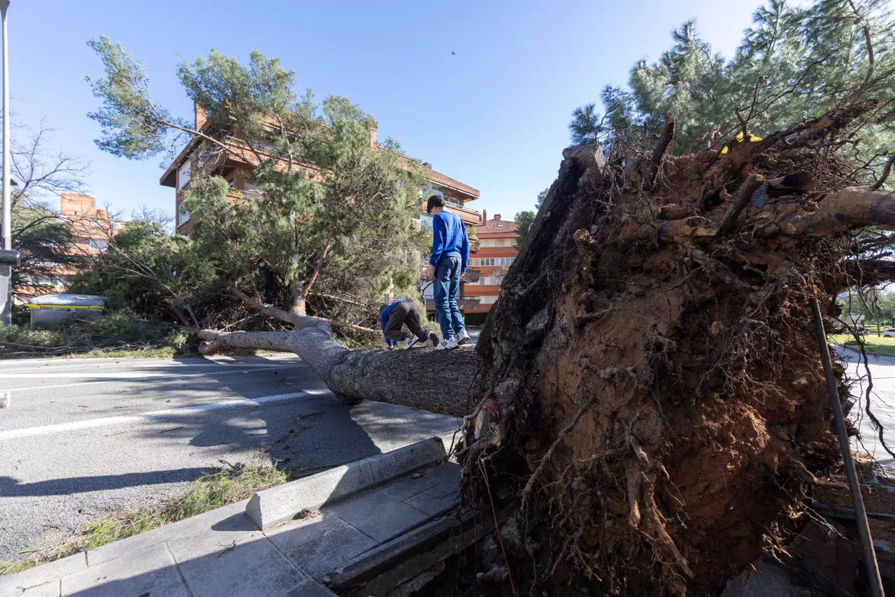 Cataluña viento temporal barcelona