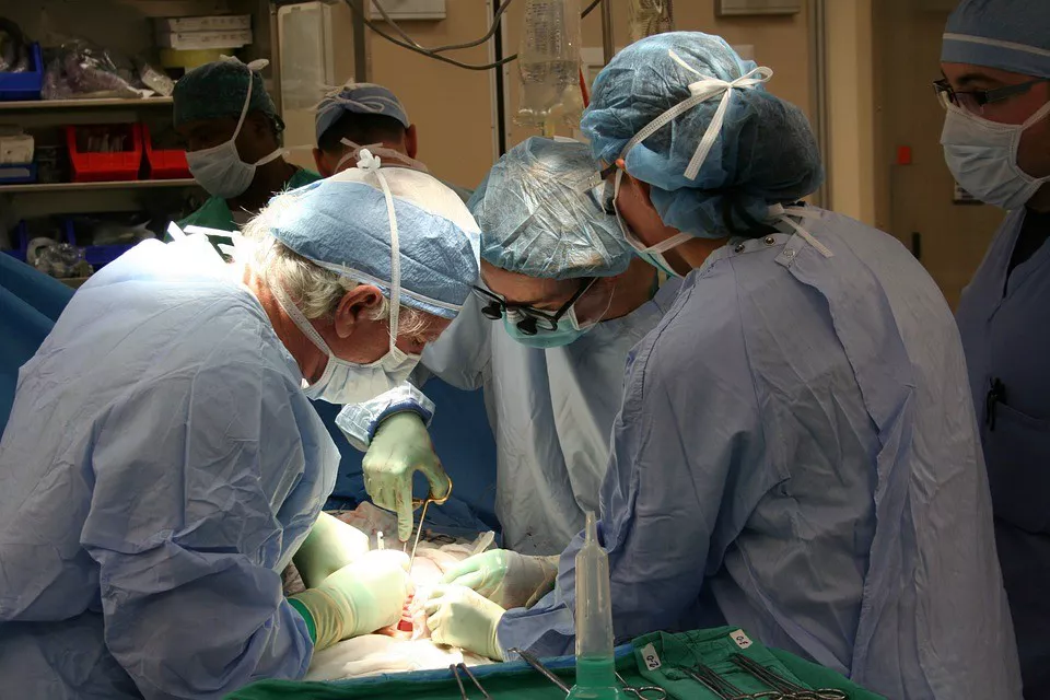Transplante