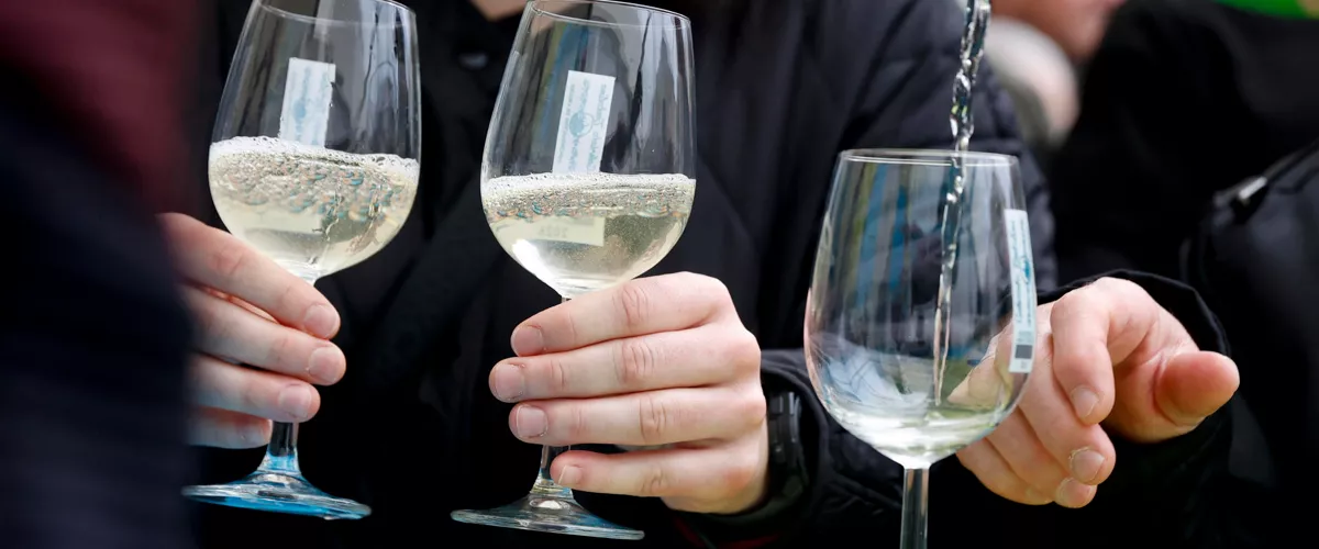 Txakoli de Getaria, Txakoli Eguna nueva cosecha