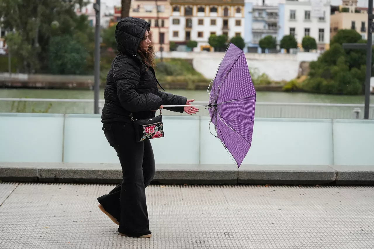 Sevillanos protegiéndose de la lluvia y el viento, protagonistas de la jornada de hoy con avisos naranja y amarillo en gran parte de Andalucía. A 13 de noviembre de 2025, en Sevilla (Andalucía, España). Andalucía vuelve a estar bajo la influencia de intensas lluvias, con avisos de nivel naranja y amarillo activos para este jueves en gran parte de la comunidad autónoma. El aviso naranja por lluvias se encuentra en el Litoral, Andévalo y Condado (Huelva), a partir de las 12.00 horas y hasta la media noche del día 14, mientras que el aviso amarillo por lluvias y tormentas se declara en Huelva, en Sevilla, Cádiz y Córdoba.



María José López / Europa Press

13/11/2025