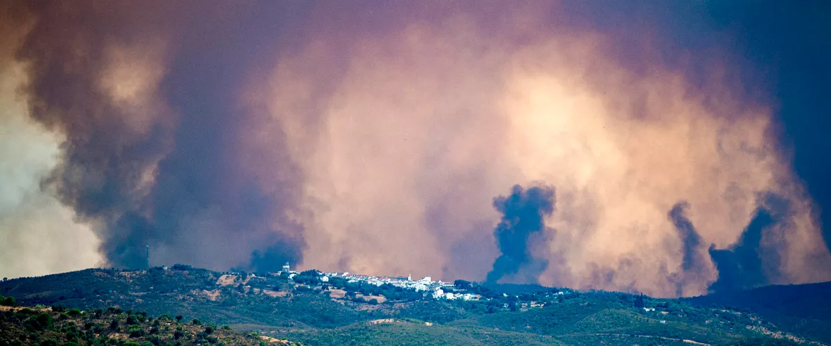 NIEBLA (HUELVA), 09/08/2026.- Vista del incendio de Niebla (Huelva), que ha afectado a más de 4.000 hectáreas y continúa activo este domingo. Las hectáreas afectadas en el incendio de Niebla (Huelva) se han duplicado respecto a ayer y se elevan a 8.000, aunque no todas están quemadas, según el consejero de Presidencia, Sanidad y Emergencias de la Junta de Andalucía, Antonio Sanz. EFE/ Mauri Buhigas
