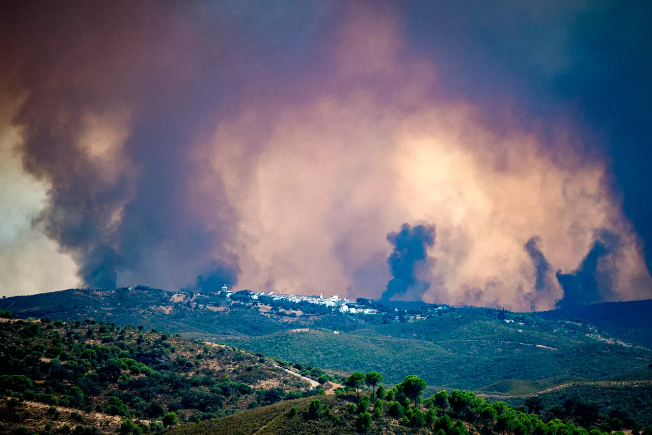 NIEBLA (HUELVA), 09/08/2026.- Vista del incendio de Niebla (Huelva), que ha afectado a más de 4.000 hectáreas y continúa activo este domingo. Las hectáreas afectadas en el incendio de Niebla (Huelva) se han duplicado respecto a ayer y se elevan a 8.000, aunque no todas están quemadas, según el consejero de Presidencia, Sanidad y Emergencias de la Junta de Andalucía, Antonio Sanz. EFE/ Mauri Buhigas
