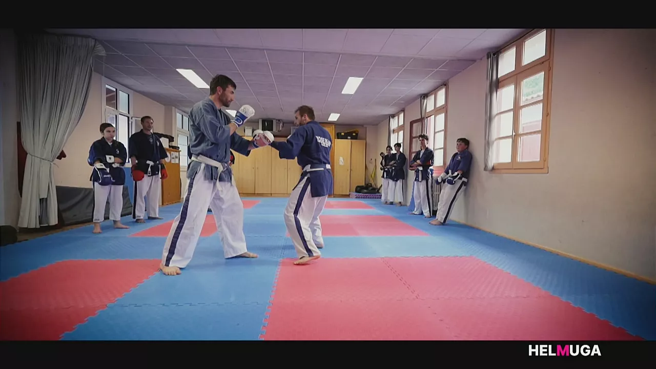 Yoseikan Budo, Helmuga saioan
