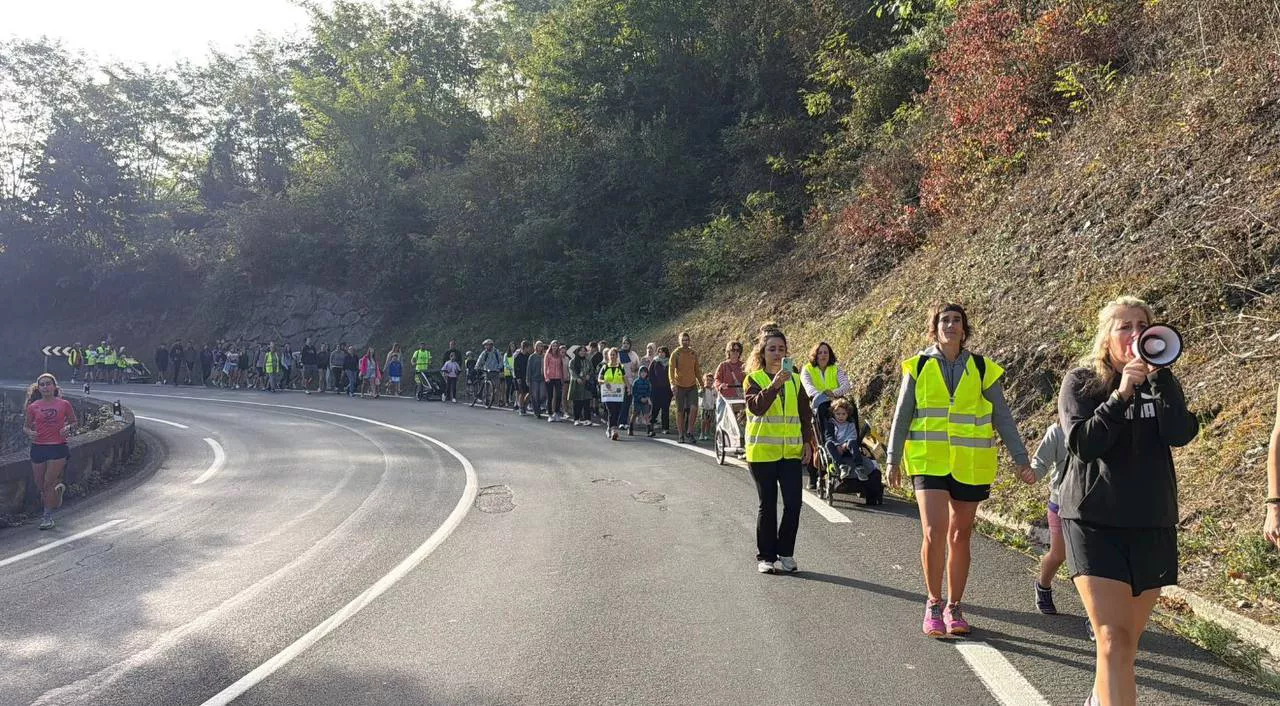 zaldibia eskola garraioa protesta