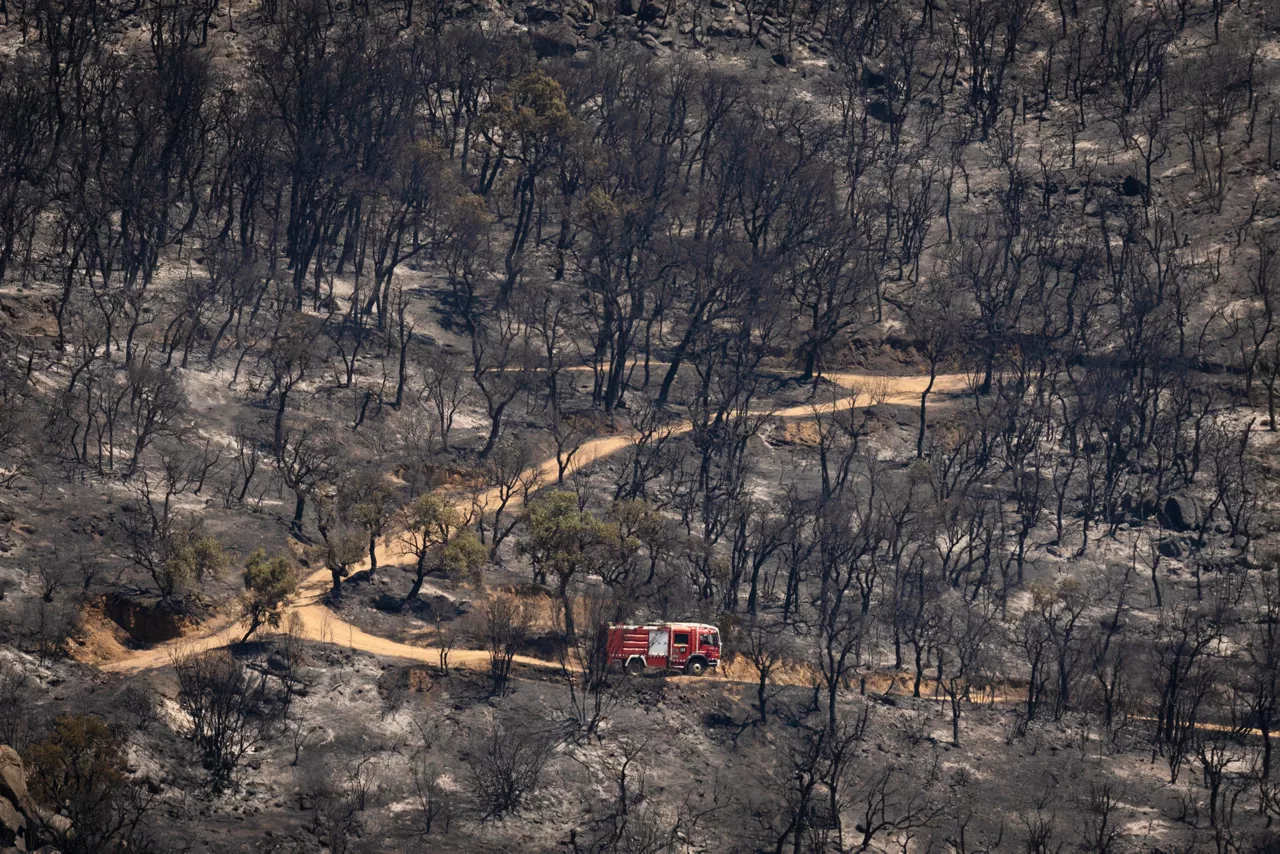 FOTODELDIA CALONGE (GIRONA), 04/07/2026.- Un camión de bomberos circula por una zona arrasada por las llamas en la localidad de Calonge este sábado tras el incendio forestal que comenzó ayer en La Bisbal de l'Empordà (Girona). EFE/David Borrat

