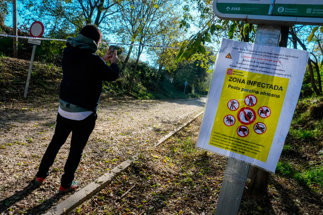 FOTODELDIA GRAFCAT5210. BARCELONA, 01/12/2025.- Aspecto de uno de los accesos al Parque Natural de Collserola, alertando de la presencia de la peste porcina hallada en jabalíes autóctonos de la zona, este lunes, cuando se ha activado a 117 efectivos y 25 vehículos de la Unidad Militar de Emergencias (UME), que llegarán a lo largo del día, para ayudar a controlar la Peste Porcina Africana (PPA), cuando ya se han confirmado seis jabalíes infectados. EFE/Enric Fontcuberta
